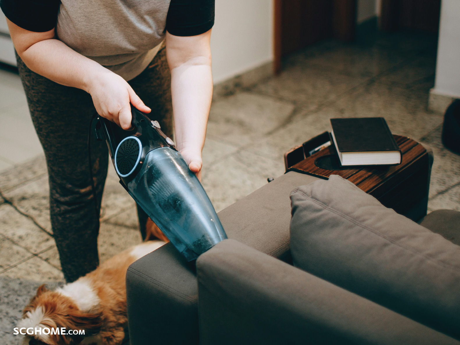 ใช้เครื่องดูดฝุ่นดูดทั่วพื้นที่โดยเฉพาะตามซอกมุมโซฟา