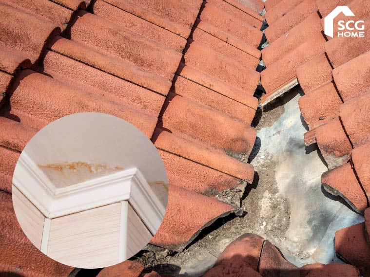 8 คำถามสุดฮิตชวนสงสัย กับปัญหา “หลังคารั่ว”