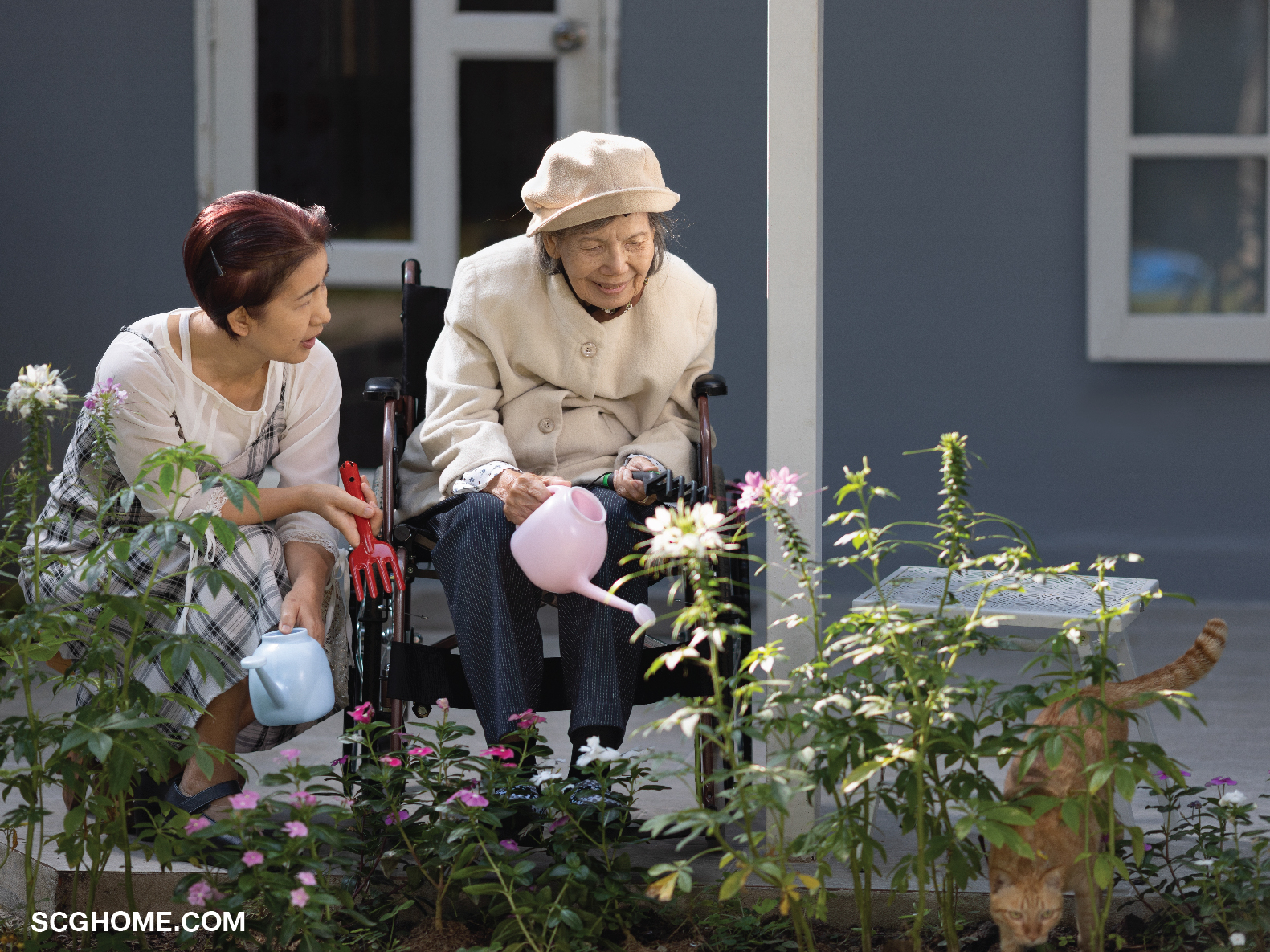 Singleimage วัยเกษียณ วัยสูงอายุรักสุขภาพ ชอบจัดสวน แต่งสวน