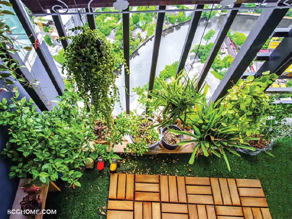 SCGHome-จัดสวน ไอเดียจัดสวน หญ้าเทียม หญ้าปลอม