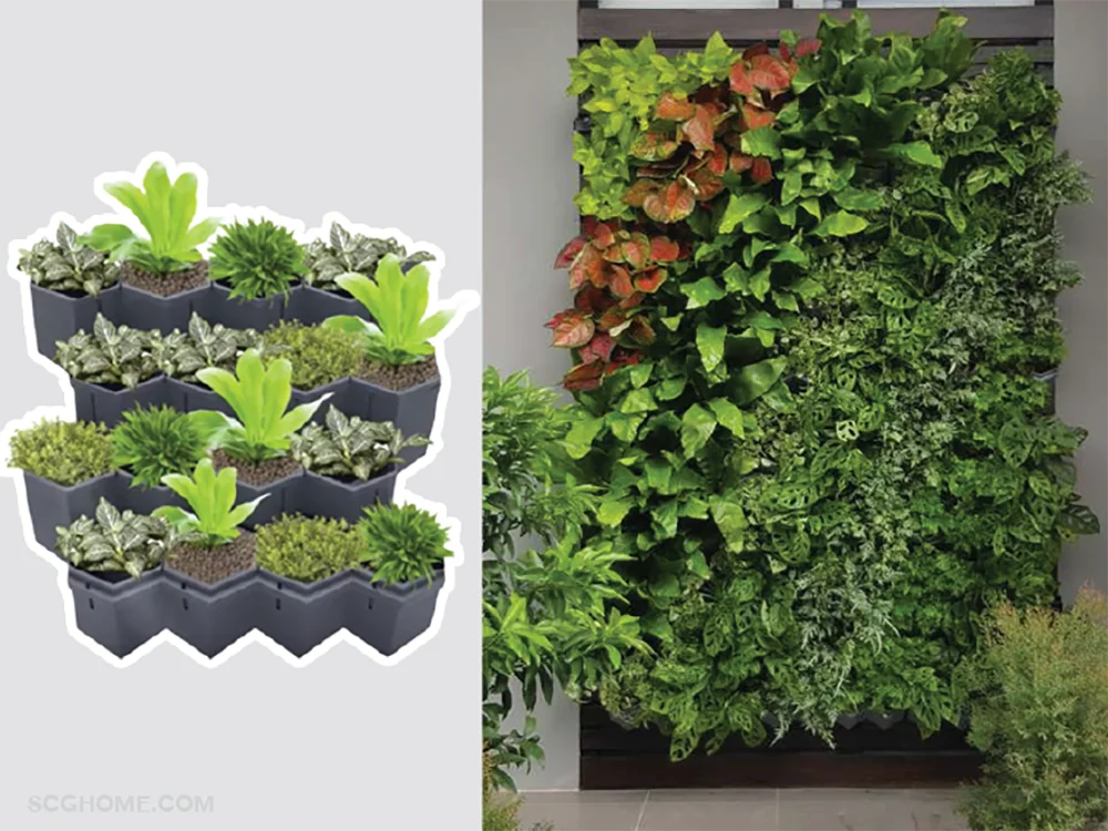 SCGHome-จัดสวน ไอเดียจัดสวน สวนแนวตั้ง โมดูล่า Modular Green Hive SCG เอสซีจี