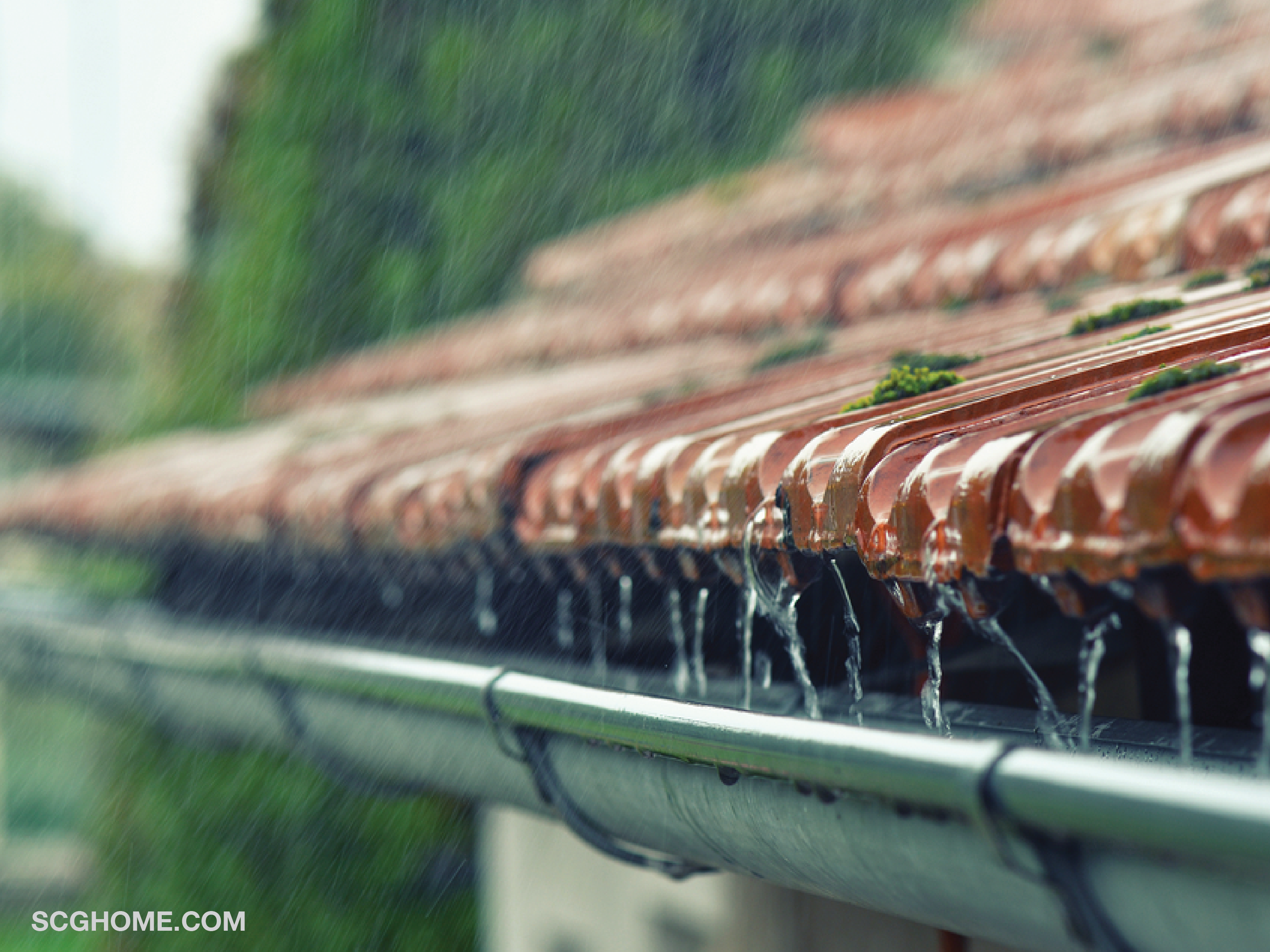 SCGHome scg รางน้ำscg รางน้ำฝน รางน้ำฝนไวนิล รางน้ำ รางน้ำฝนPVC