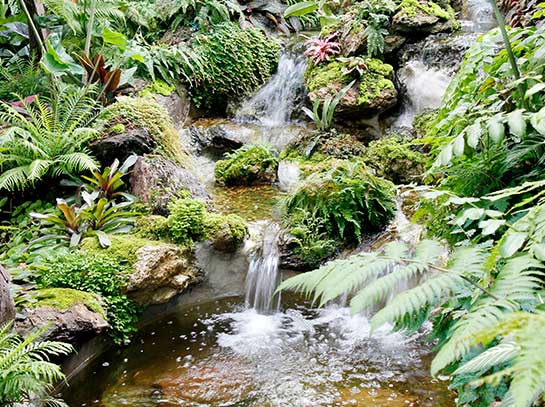 6 วิธีจัดสวนสวยทิศตะวันตก คลายร้อนให้บ้านเย็น