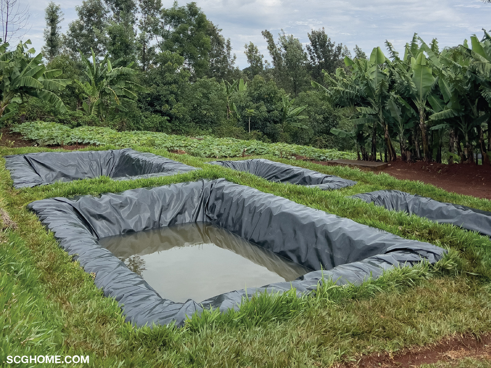 ตัวอย่างพลาสติก PE ที่ใช้ปูบ่อ