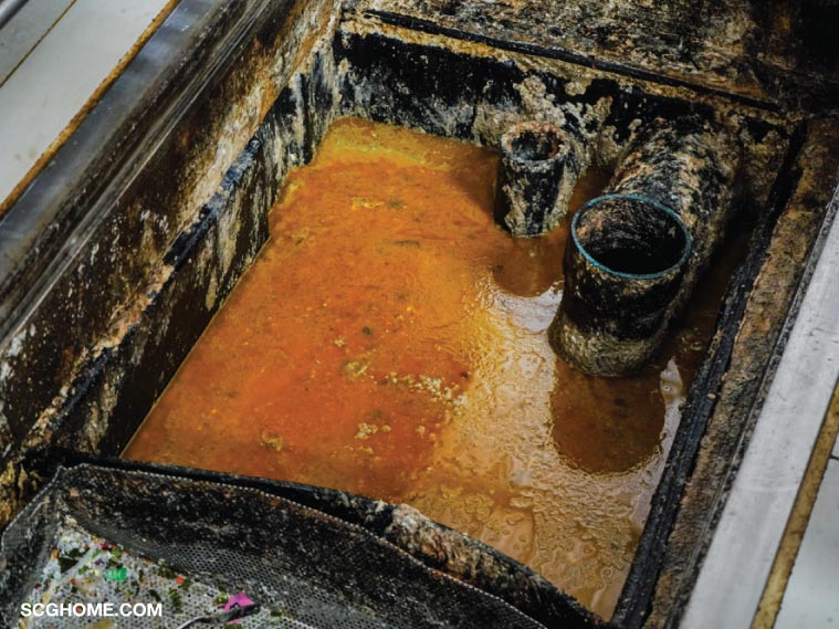 อ่างล้างจานตัน ถังดักไขมันเต็ม ถังดักไขมันตัน ท่อตันเพราะไขมัน ท่อน้ำทิ้งในครัวตัน ท่อครัวตัน