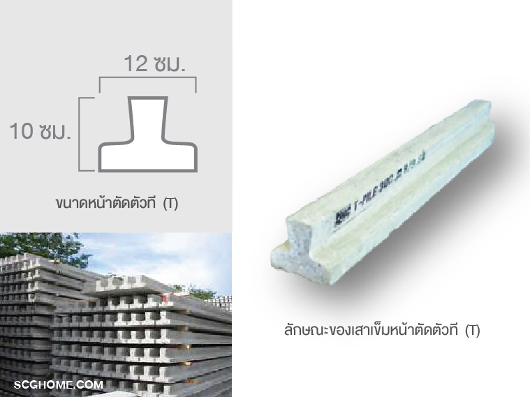 ลักษณะและขนาดของเสาเข็มหน้าตัดตัวที (T)