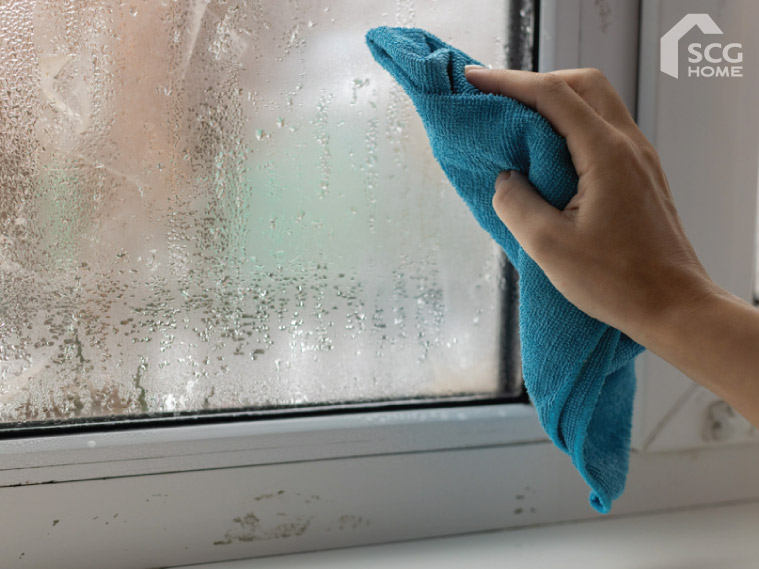 รวมวิธีลดปัญหาบ้านชื้น ป้องกันเชื้อรา บอกลากลิ่นอับ