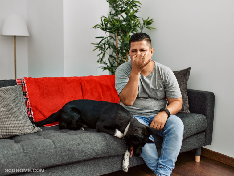 สัตว์เลี้ยง อากาศชื้น