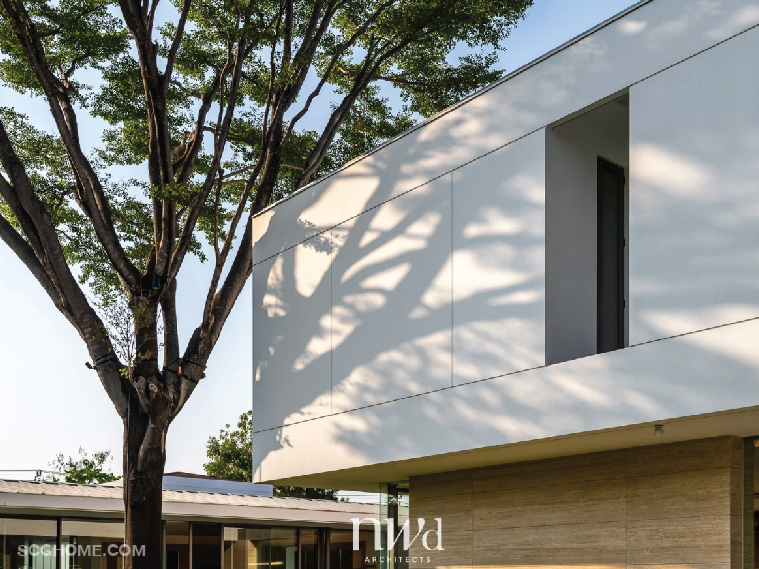 แสงเงาทอดลงไปบนผนังเสมือนงานศิลปะธรรมชาติ