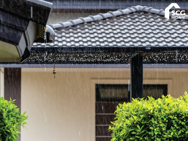 รวมเรื่องป่วนๆ กับปัญหาหลังคาหน้าฝน