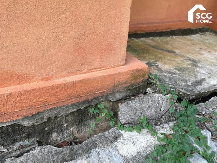 ดินทรุดรอบบ้าน โพรงโผล่ แค่ปิดโพรงใต้บ้านอาจไม่จบ