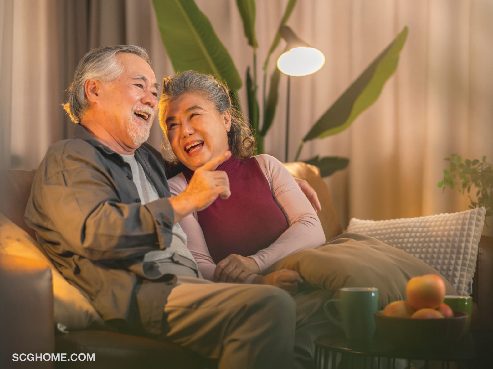 Singleimage วัยเกษียณ วัยสูงอายุ ชอบดูหนัง