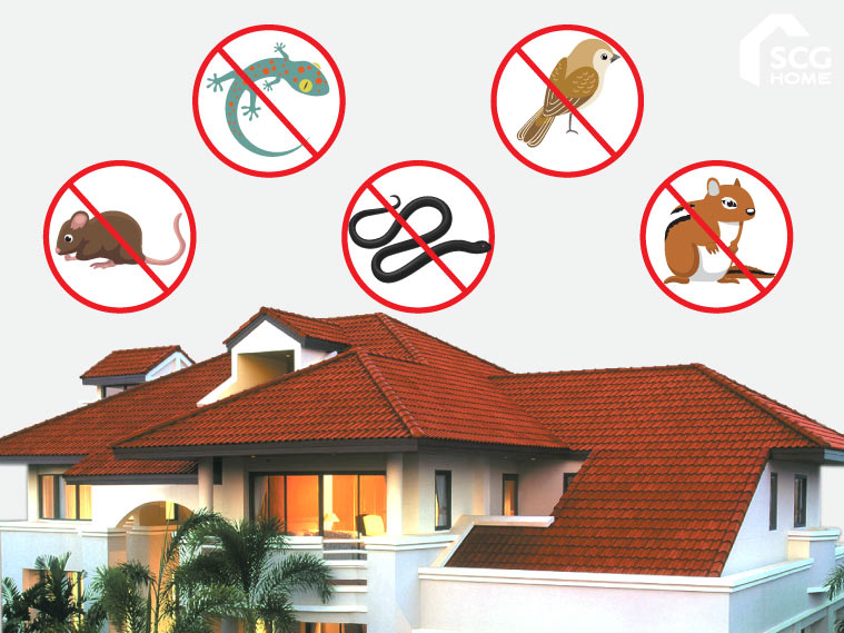 10 ช่องต้องปิด ป้องกันสัตว์เข้าบ้านและหลังคาบ้าน