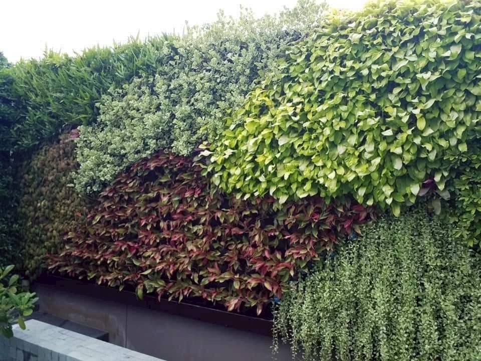 บริการจัดสวนแนวตั้ง