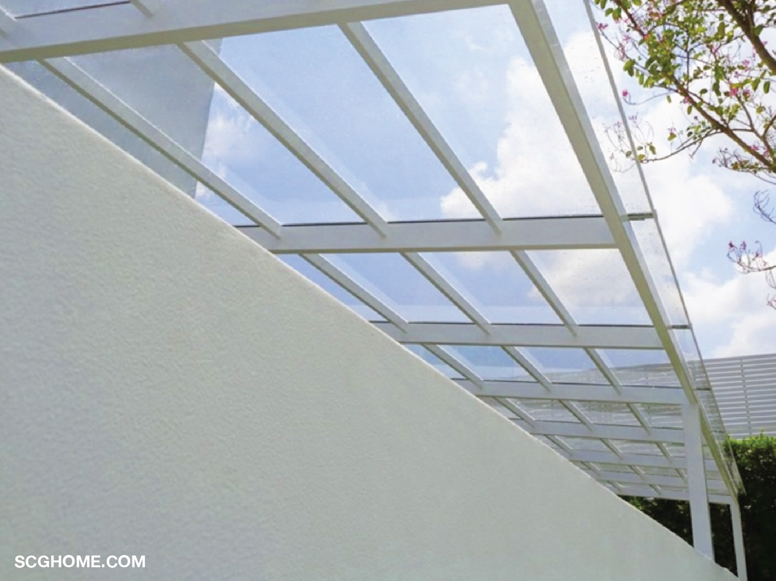 NATURE สีใส(CLEAR)