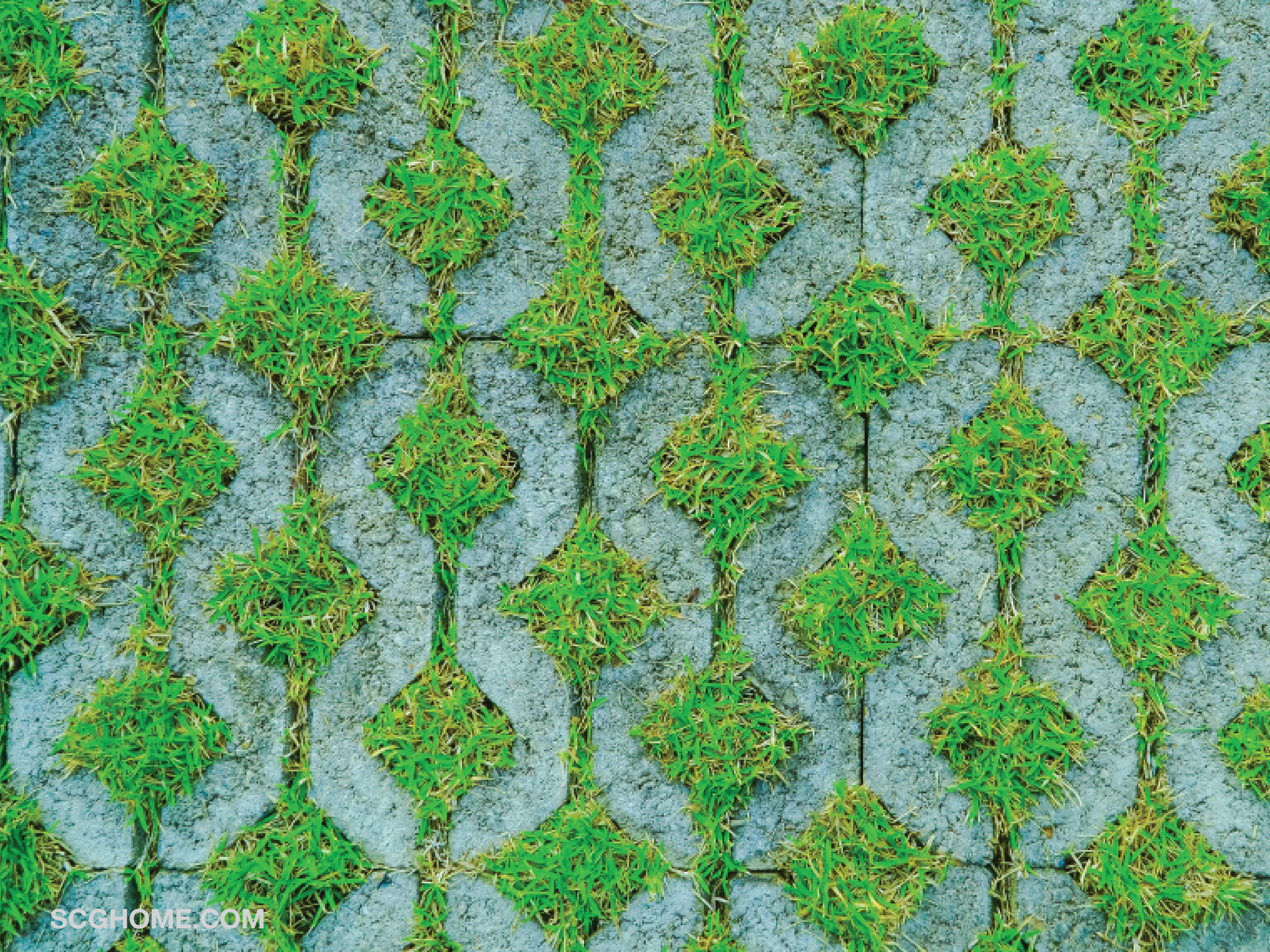 SCGHome scg สวนฤดูฝน ดูแลสวน จัดสวนบล็อกปูพื้น บล็อกตัวหนอน อิฐตัวหนอน อิฐบล็อก