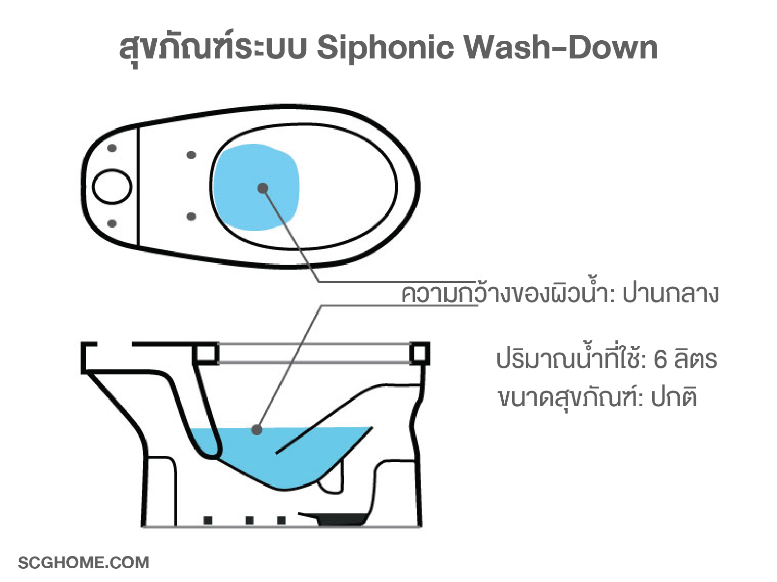 ลักษณะของสุขภัณฑ์ระบบ Siphonic Wash Down