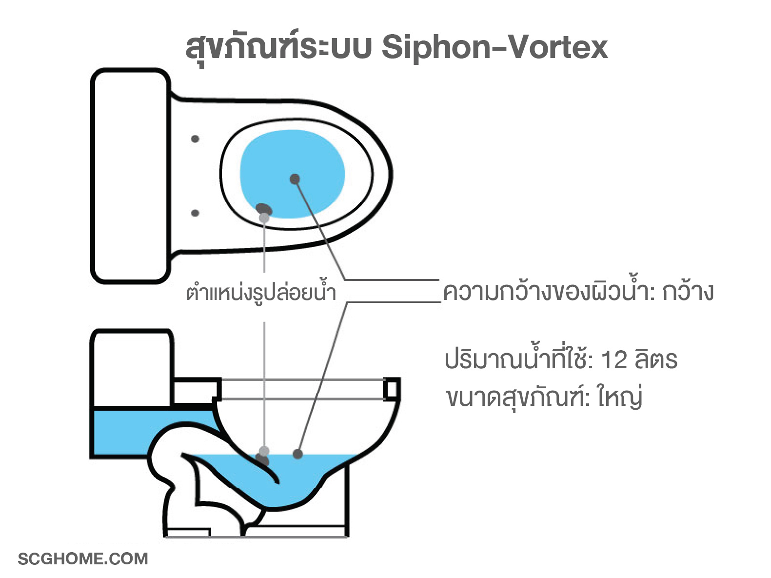 ลักษณะของสุขภัณฑ์ระบบ Siphon Vortex