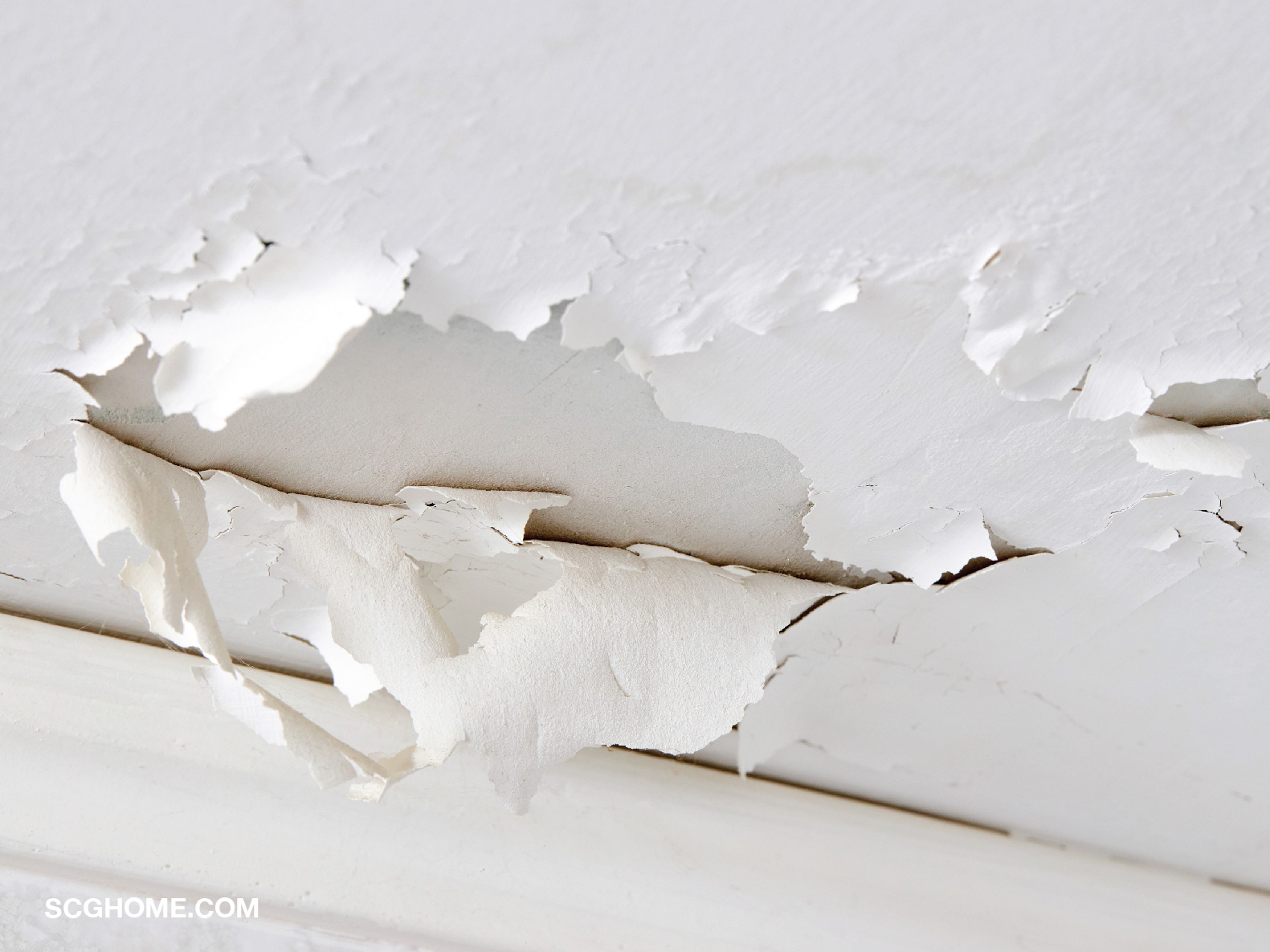 สีทาผนังเกิดการพองและลอก