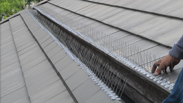 บริการติดตั้งอุปกรณ์ป้องกันนกพิราบ