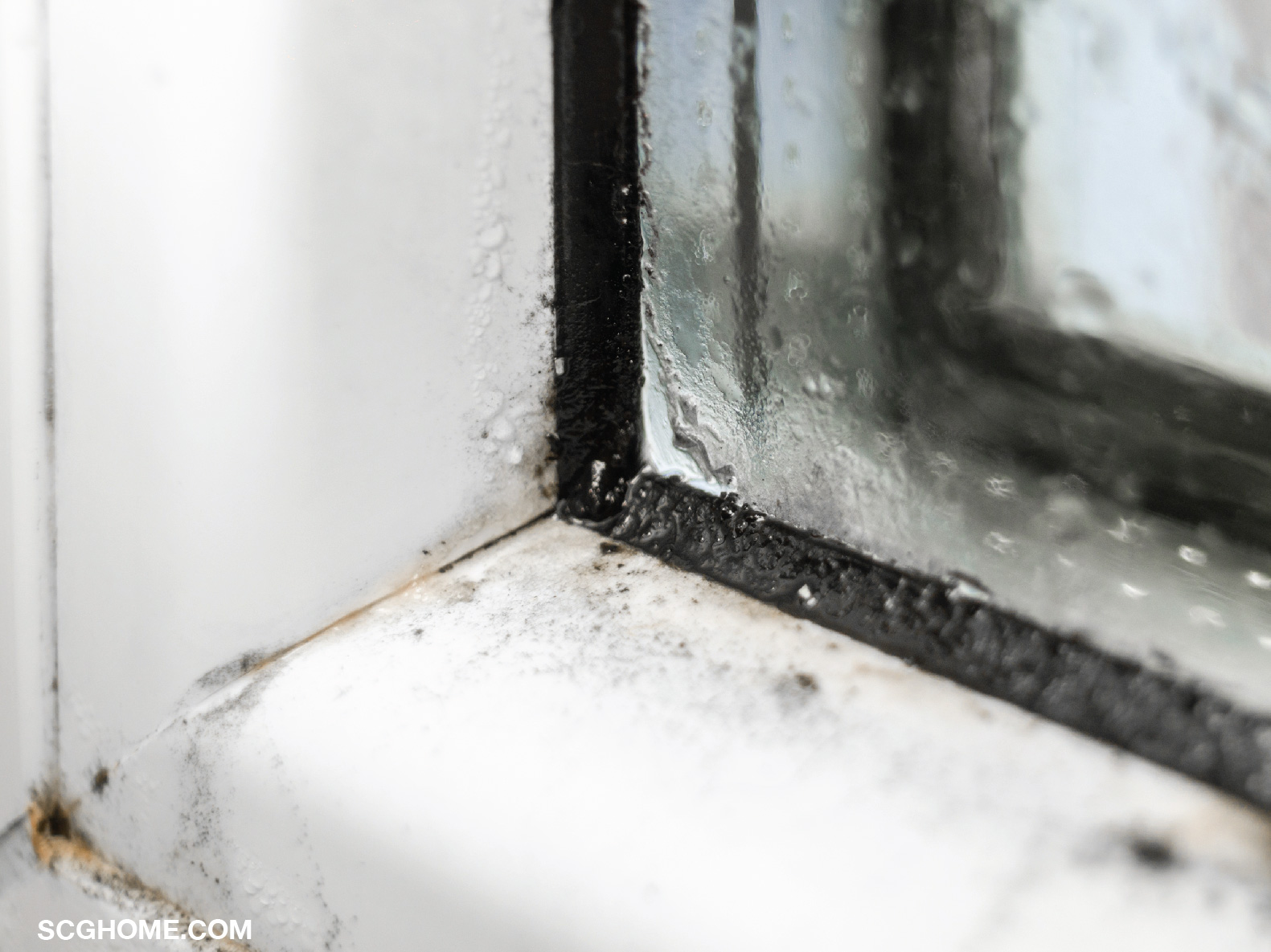 ซีลยางระหว่างกระจกกับวงกบเสื่อมคุณภาพ